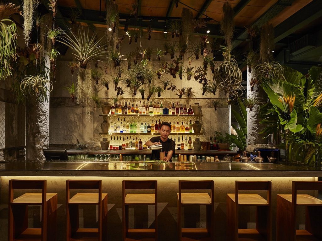 A bartender mixing drinks at Kaum restaurant in Seminyak, Bali. Various air plants hang from the ceiling above the bar.